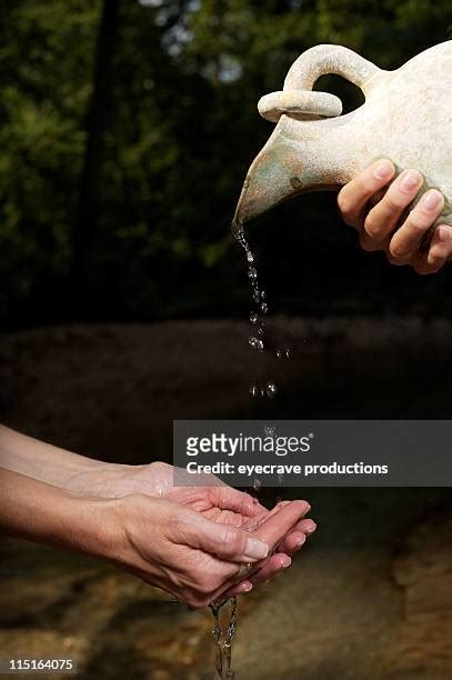 465 Servants Of Charity Stock Photos and High.